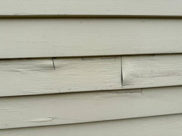 Trusted Russellville, AL Siding Installation & Repair Experts